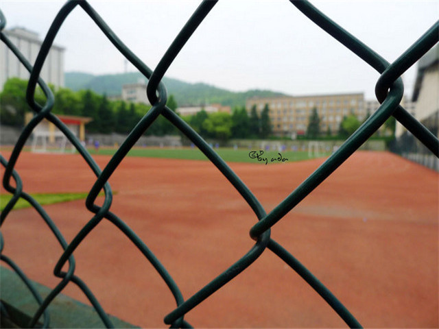 田徑場圍網(wǎng)圖片1